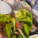 마리모 | 충남태안숙소 바닷가 1분! 가족 여행에 딱인 마리모 펜션 후기