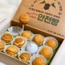 아이소