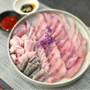 8/19(수)여름나기 전 민어(혼마구로,오도로)맛집 탐방/한라봉대장님 이미지