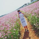 광의사거리 네이버블로그