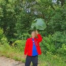 진솔루션 이미지