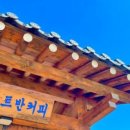 빈센트반커피 이미지