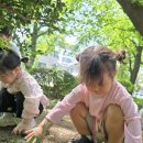 청명축산 이미지