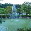 소나무농원 캠핑장 이미지