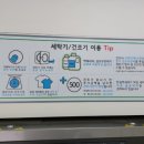 코인워시365마포건영