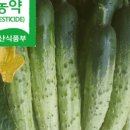 유진원예