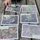 덕동산공원1 이미지