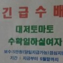 수배농장 Daum카페