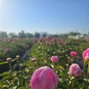 강나루 - 광진구 아차산로57길 5 | 강나루