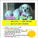 대전신계초등학교 이미지