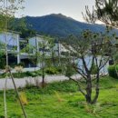 골든파인펜션 이미지