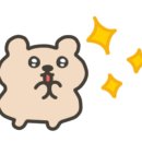 앤드아트스튜디오
