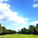 중국어 기초 회화 이미지