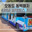 여수 오동도 동백열차 4채널 블랙박스 시공 후기
