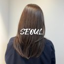 봄헤어아뜰리에 | 압구정 미용실 차홍아르더 아뜰리에 도산 헤어컨설팅 염색