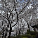 [내돈내산] 평택 가족 라이브 뮤지컬 백설공주 관람후기｜아이와 함께한 즐거운 문화생활 (2026.04.04)