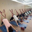 (주)메디피크 | ✨[수영구 프라이빗 요가 후기] 통증 줄고 자세 바뀐 진짜 변화 이야기!