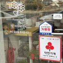 들꽃이 있는집 | 전북 군산 꽃집 들꽃들 , 졸업식 꽃다발 예약 내돈내산 솔직 후기