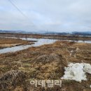 율곡천 4 이미지