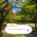 화암면사무소 | 강원 정선 | 화암약수 야영장 18번 사이트 (+약수터)