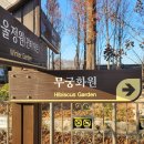 보불로(동) 네이버블로그