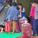 의성 참기름 이미지