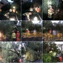 달서천로 이미지