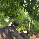 안경해라 이미지