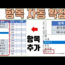 엑셀 목록 자동 확장, 필터 항목 이미지