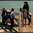 수막 목장 이미지