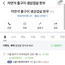 자연석돌구이생삼겹살한우 이미지