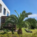 알루하우스A 이미지