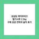 이노디테크(주) 강남지점 | 성심당 케익부띠끄 딸기시루 2.3kg 구매 성공 전략과 솔직 후기