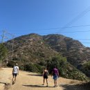 2일차(1) Hollywood sign 헐리우드 사인 트레킹 + Gargage sale 체험 / Shakey&#39;s Pizza Parlor 피자 맛집