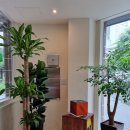 카페기역 이미지