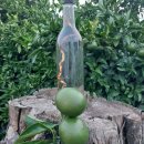 금장농장 이미지