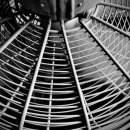 최고축산 이미지