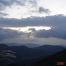 김동희농장 이미지