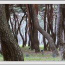 다람쥐공원 이미지