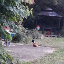 소구월사거리 네이버블로그
