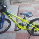 일렉스타 알톤 이미지