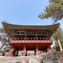 금호천 이미지