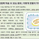 용안농약사 이미지