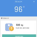 이모쿡도시락 | 2026.04.19