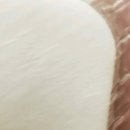 홍승환정형외과의원 이미지