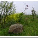 동심농장 이미지