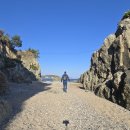 관성솔밭해변 이미지