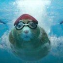 준현어린이집 이미지