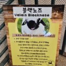 테디베어스토리
