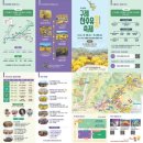 구례군청소년수련원 | 2026 구례 산수유 축제 실시간 후기 (+ 셔틀버스, 주차, 코스 꿀팁) ☀️🌿